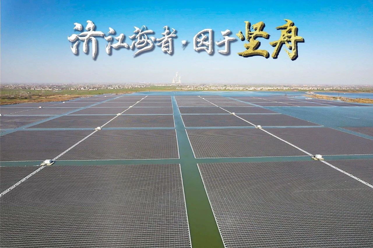 三峡阜阳  650MWp  水面光伏项目